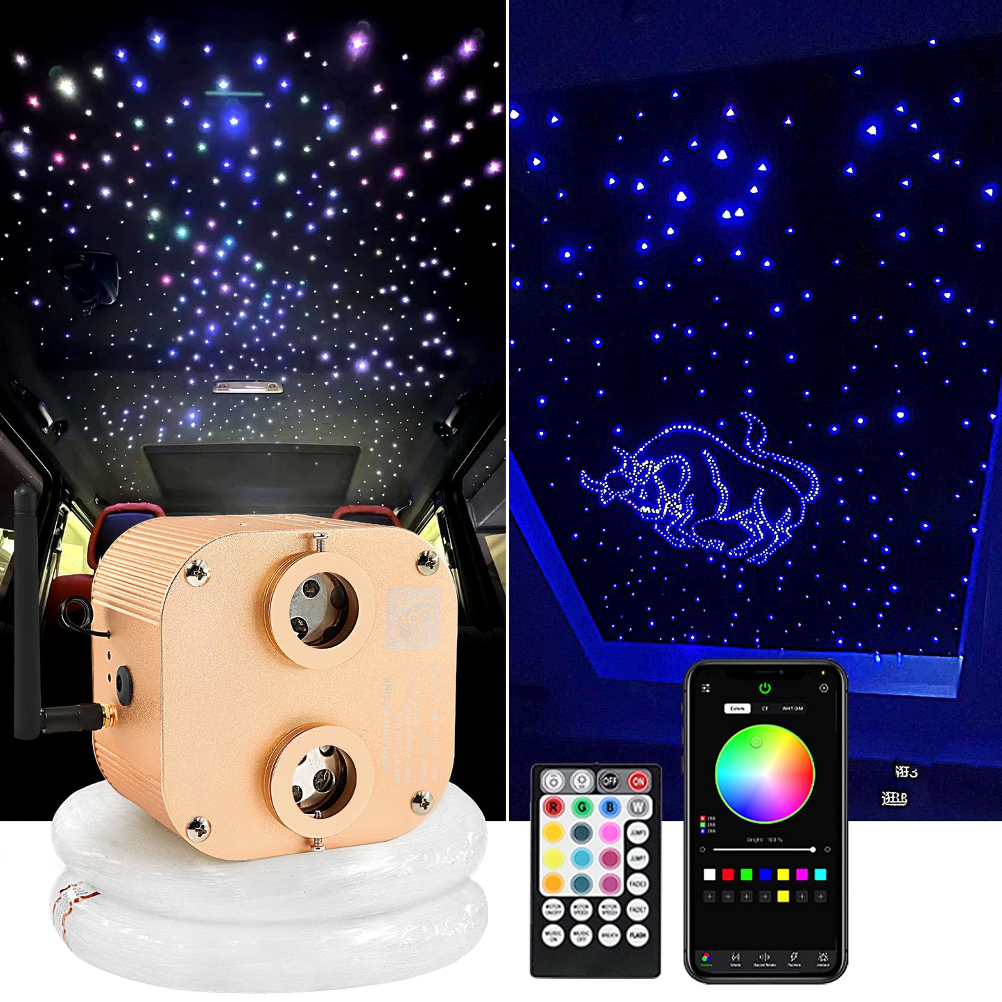 BEESIDY 20W Dual-Head Twinkle Starlight Headliner Kit for Car/Home Use,Fiber Optic Lights with APP/Remote Controlled