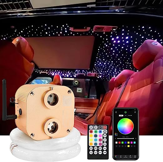 BEESIDY 20W Dual-Head Twinkle Starlight Headliner Kit for Car/Home Use,Fiber Optic Lights with APP/Remote Controlled