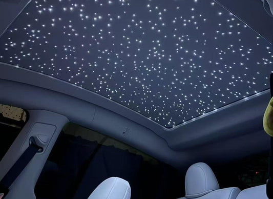 Tesla Model Y Starlight Roof Installation