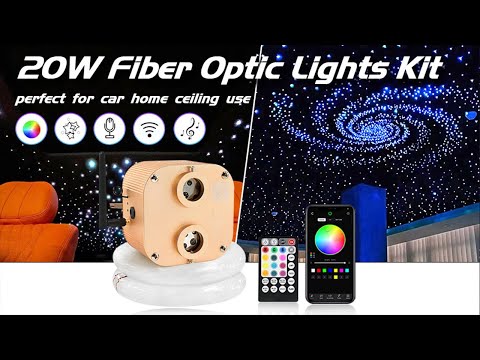  APP20W Dual Head Twinkle Starlight Headliner Kit for Car/Home Use!